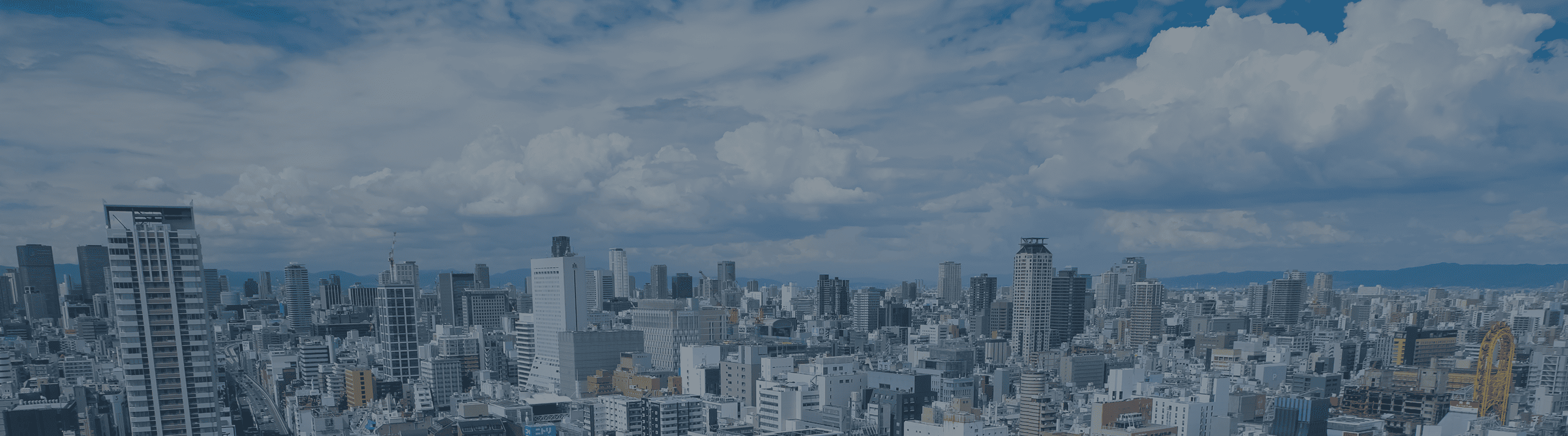 プライバシーポリシー